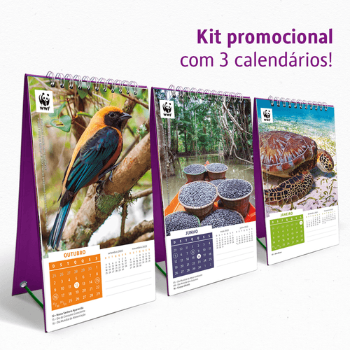 Kit 3 Calendários 2022 - WWF-Brasil