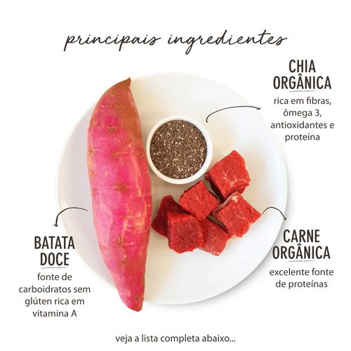 All Love - Superfood | Batata Doce, Chia & Carne 150g